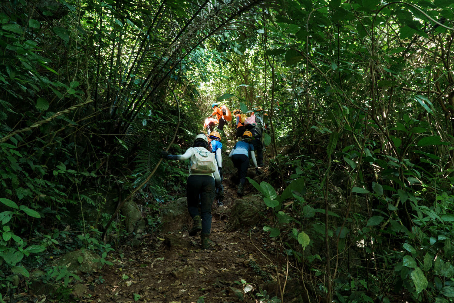 Hành trình trekking băng qua các khu rừng để đến khám phá các hang động.