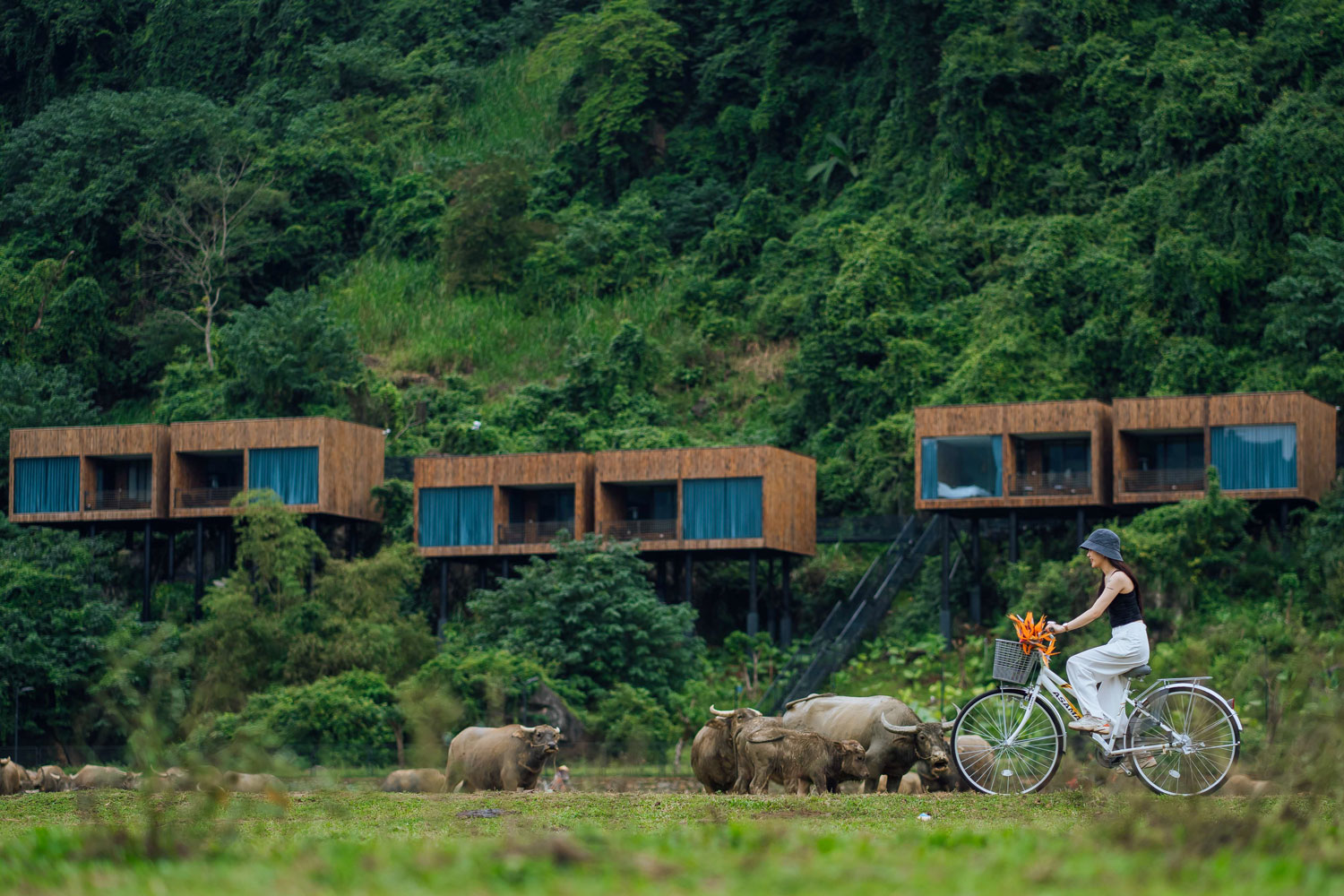 Tú Làn Lodge nổi bật với những căn phòng được thiết kế theo mô hình nhà tiền chế lắp ghép trên triền núi.