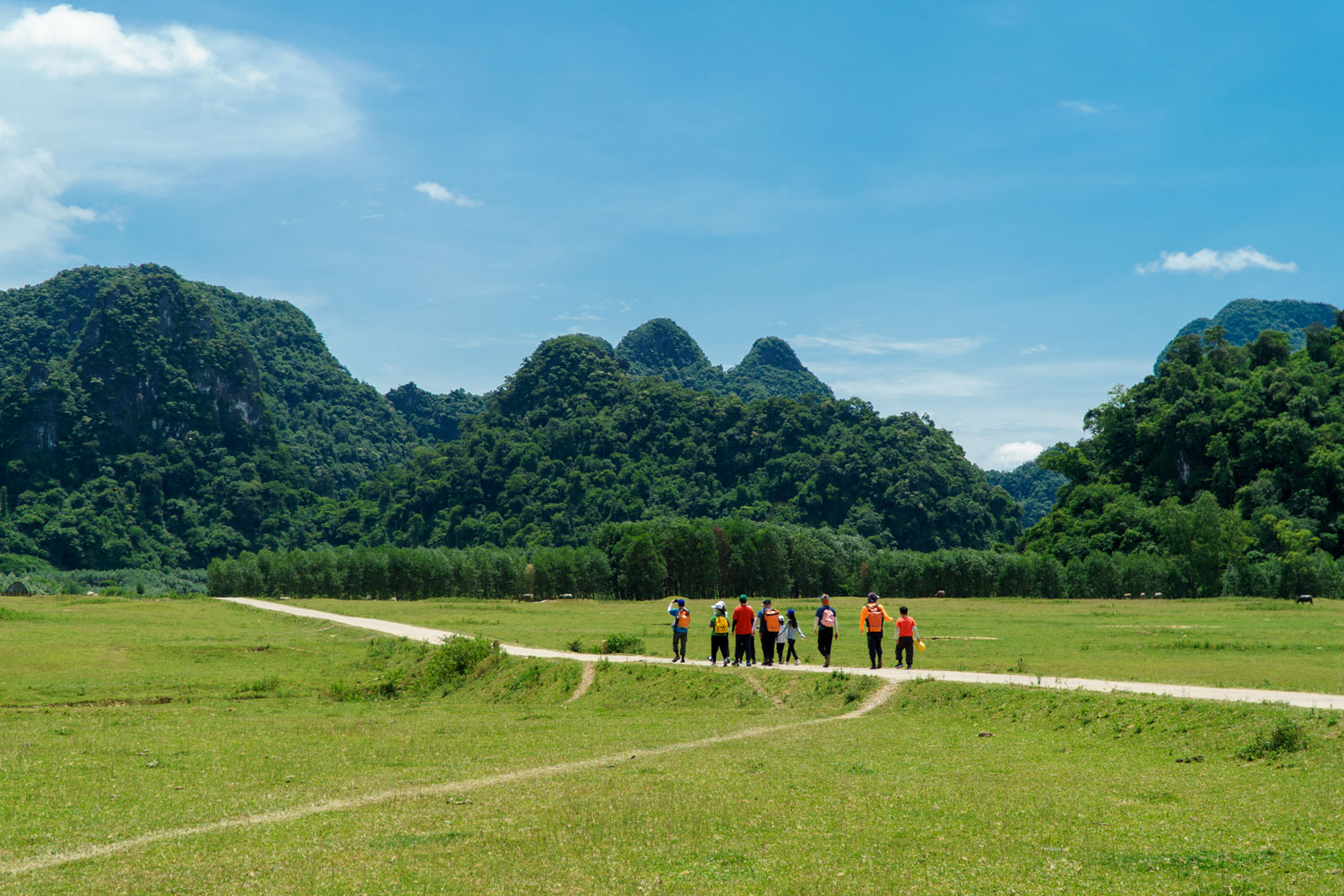 Tour gia đình khám phá Tú Làn sẽ cho bố mẹ và bé khám phá thiên nhiên Tú Làn tuyệt đẹp cùng nhiều hoạt động bổ ích giữa rừng xanh.