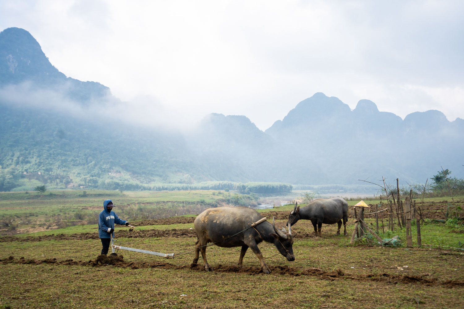 Cuộc sống của người dân Tân Hóa gắn liền với nông nghiệp.