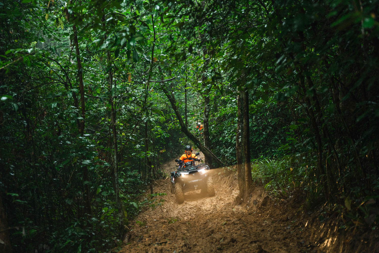Tour ATV khám phá rừng lim Tân Hóa.
