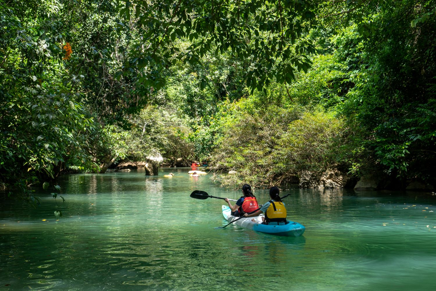 Chèo kayak trên suối Blue khám phá khung cảnh thiên nhiên.