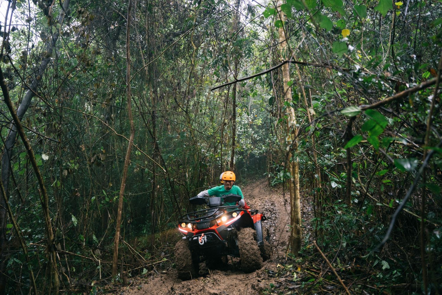 Trải nghiệm lái xe ATV đầy kích thích để khám phá rừng lim Tân Hóa.