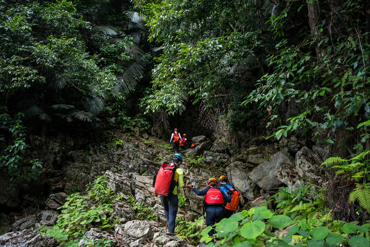Với tour Thử sức Tú Làn, bạn sẽ được trekking qua những cánh rừng, băng qua nhiều dốc đá.