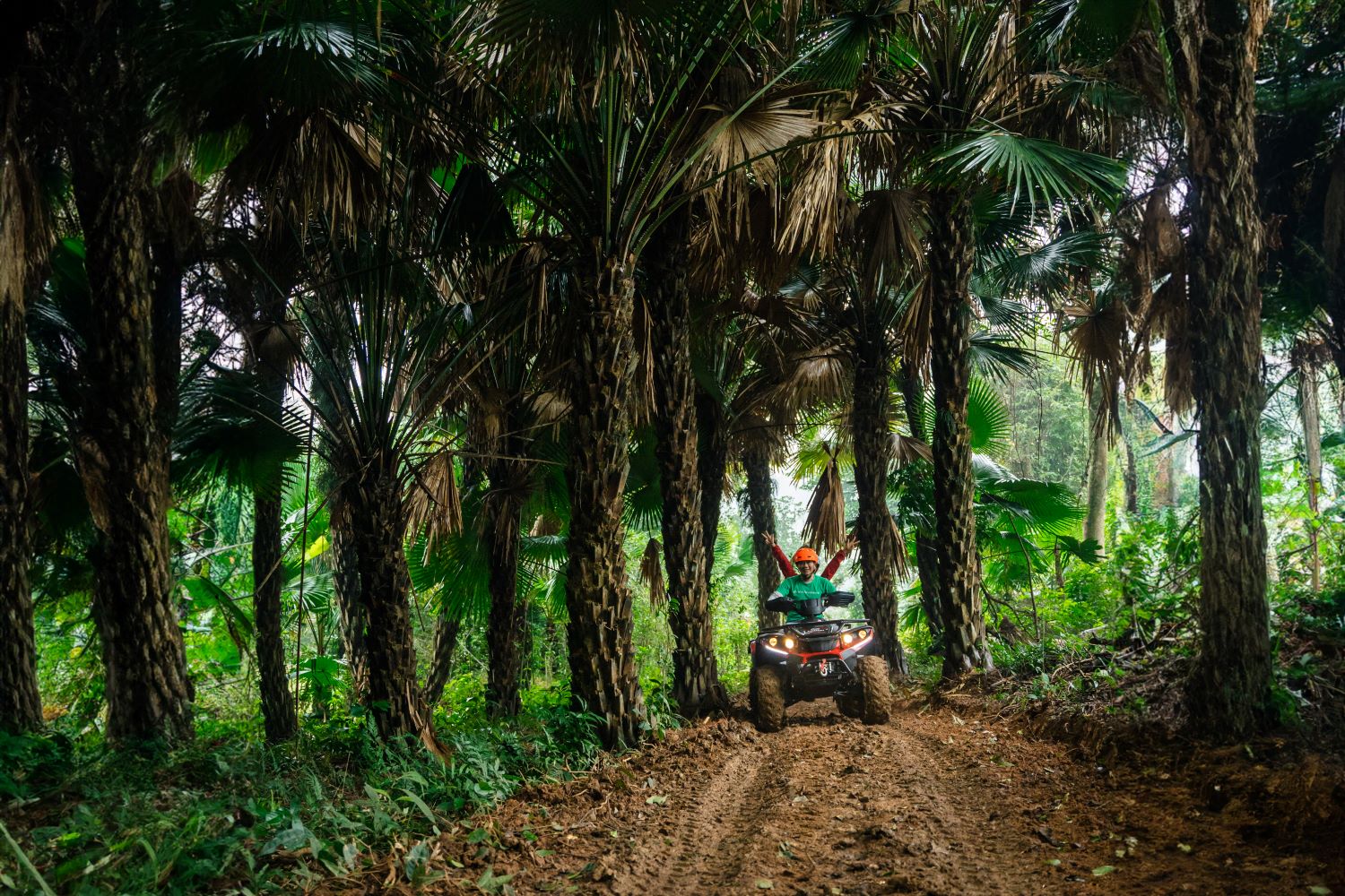 Tận hưởng cảm giác thử thách và sảng khoái khi cầm tay lái xe ATV khám phá rừng Lim.