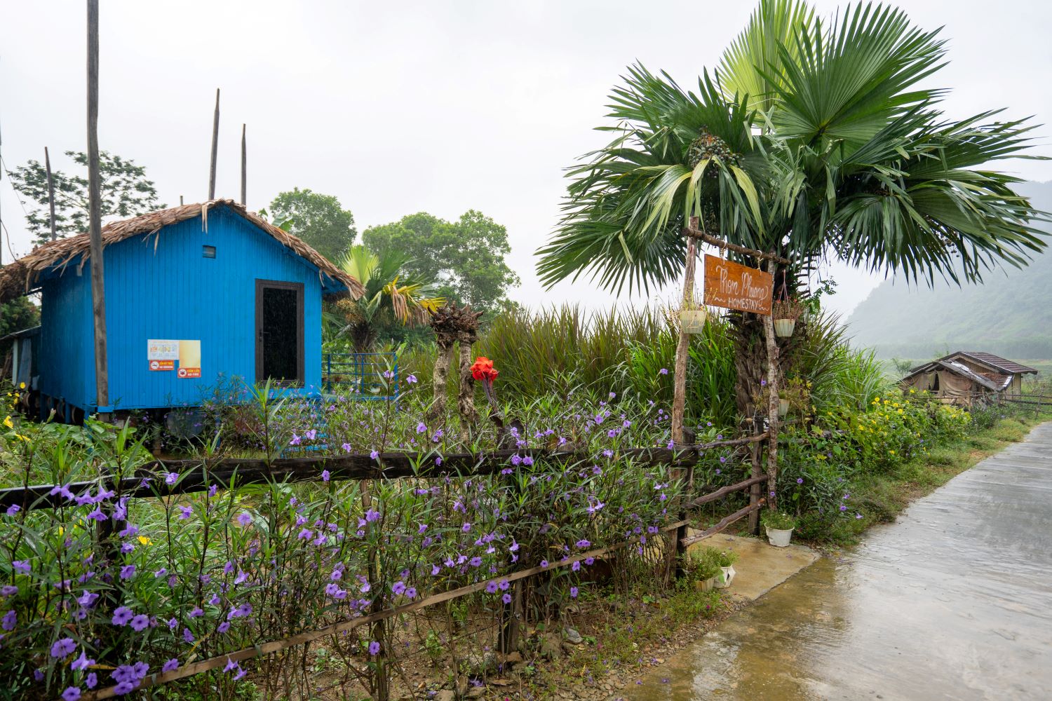 Căn Rural Homestay độc đáo được xây dựng trên những căn nhà nổi của người dân Tân Hóa.